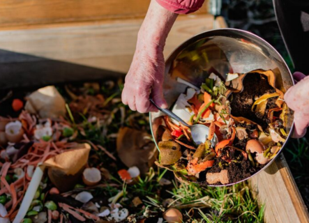 Sustainability Waste Practices